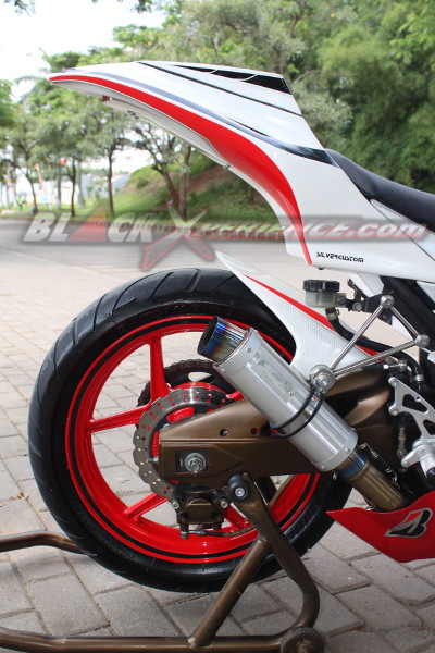 Elegant Sporty Ninja 250R
